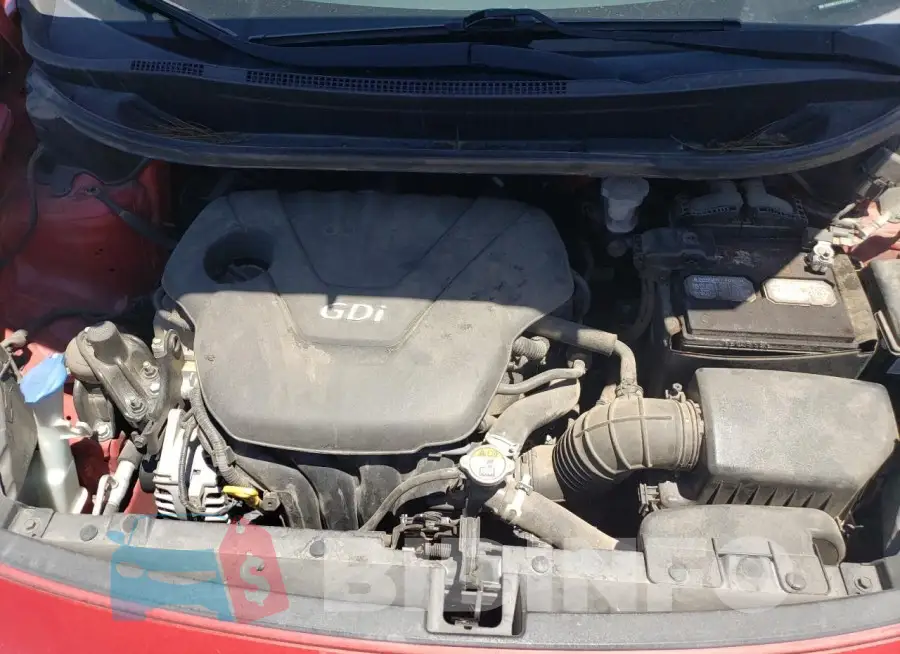 KNADM4A32F6528230 Photo# 11