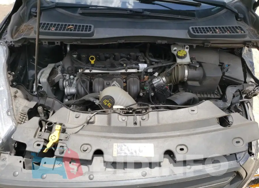 1FMCU0F70KUA89825 Photo# 12