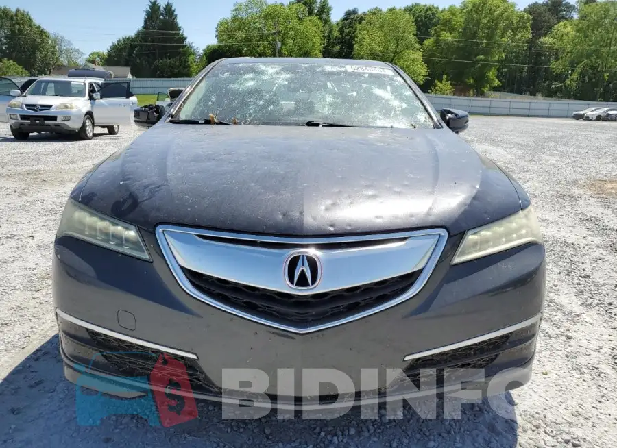 19UUB1F30FA013533 Photo# 5