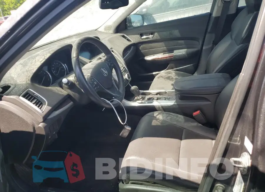19UUB1F30FA013533 Photo# 7