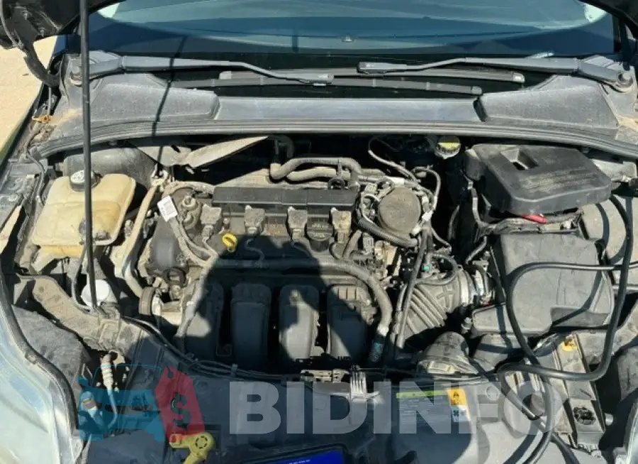 1FADP3F22FL244236 Photo# 7