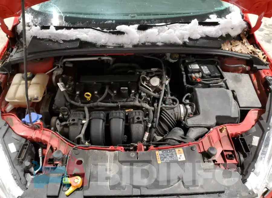 1FADP3F25GL381253 Photo# 11