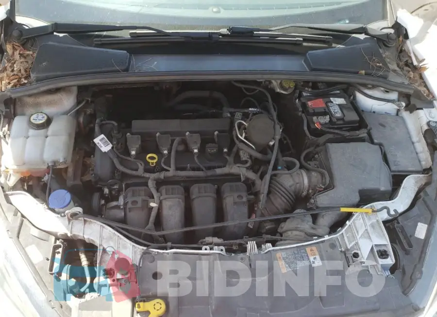 1FADP3K29FL320010 Photo# 11
