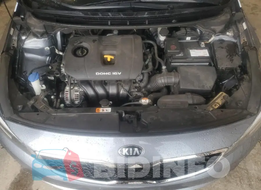 3KPFL4A79HE141561 Photo# 11