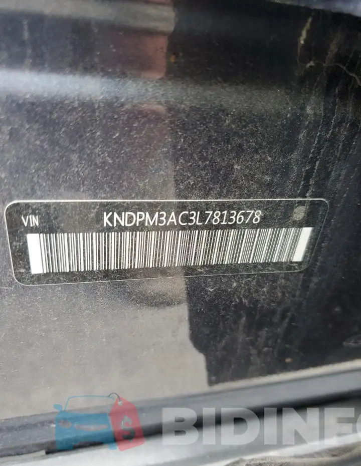 KNDPM3AC3L7813678 Photo# 12