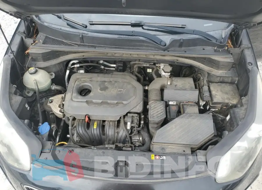 KNDPN3ACXH7226558 Photo# 12