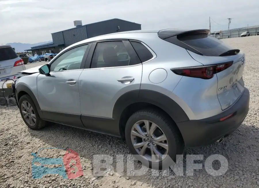 3MVDMBCL9MM261622 Photo# 2