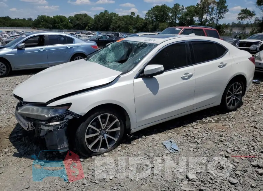19UUB2F38FA014340 Photo# 1
