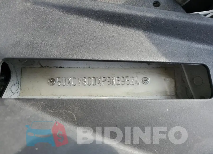 5UXCY8C0XP9N69524 Photo# 12