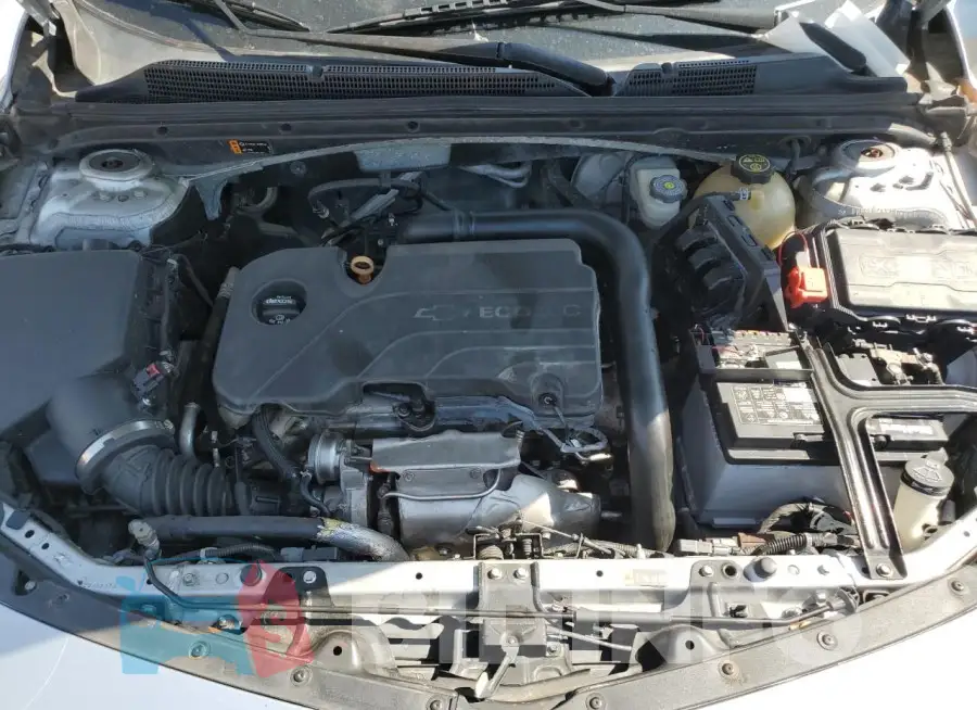 1G1ZB5ST1HF226331 Photo# 11