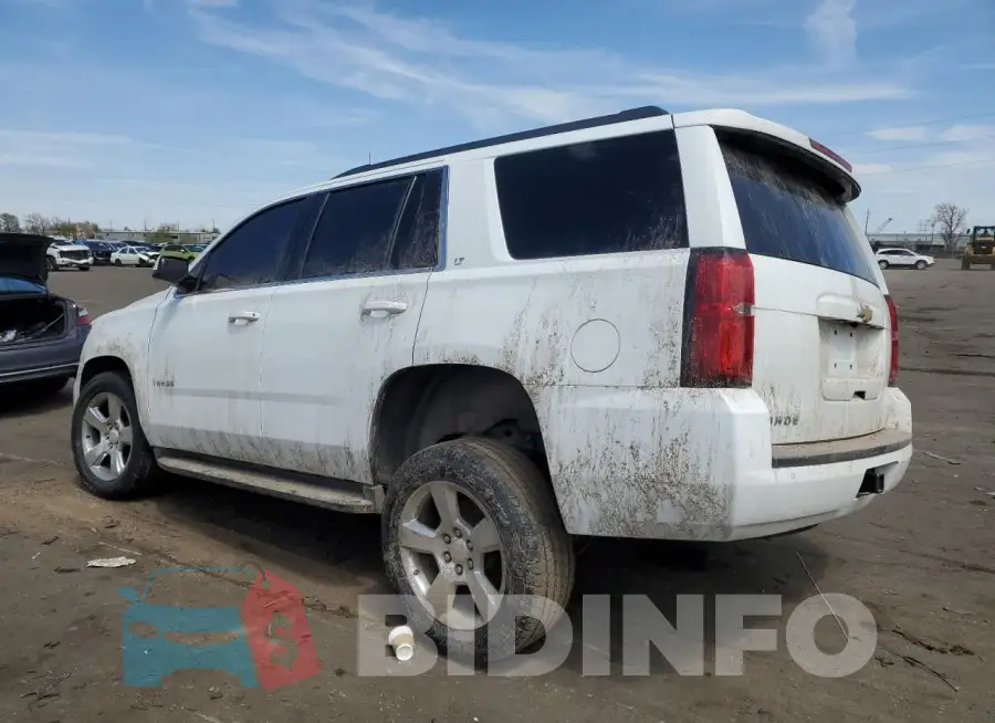 1GNSKBKC7GR264173 Photo# 2