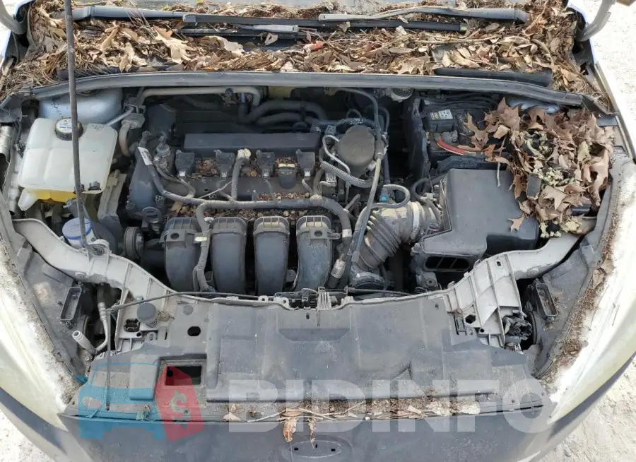 1FADP3F24FL370226 Photo# 11