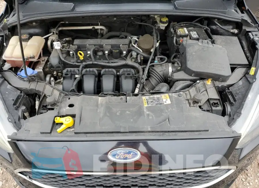 1FADP3F24GL286294 Photo# 11