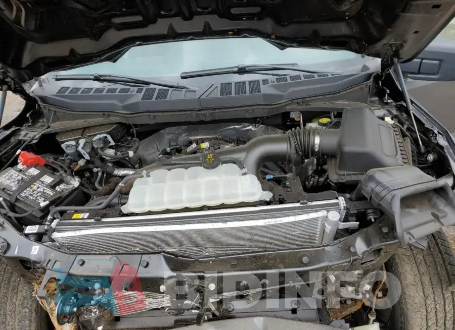 1FTEW2LP5RKD24278 Photo# 11