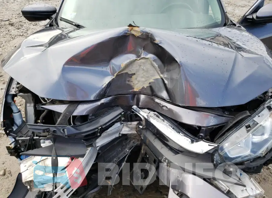 19XFC2F51HE203353 Photo# 11