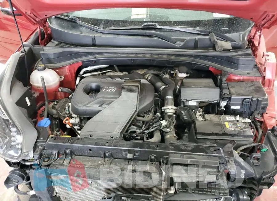 KNDPRCA60M7899285 Photo# 12