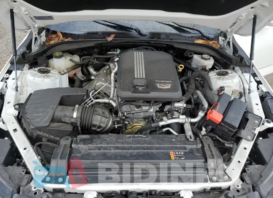 1G6DB5RK7M0131285 Photo# 11