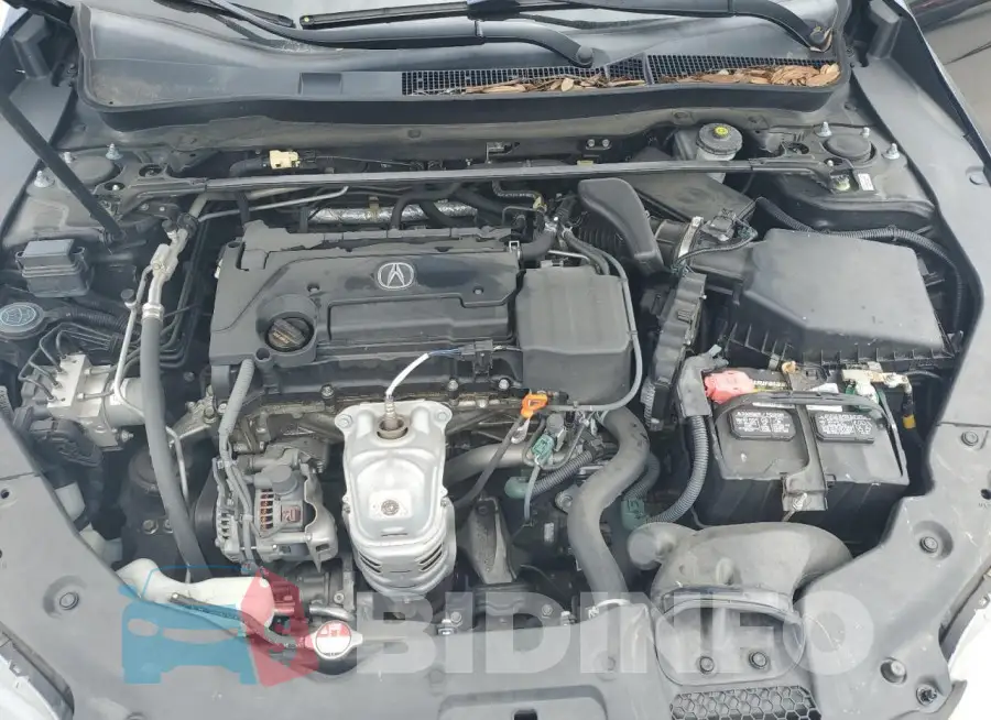 19UUB1F37FA023816 Photo# 11
