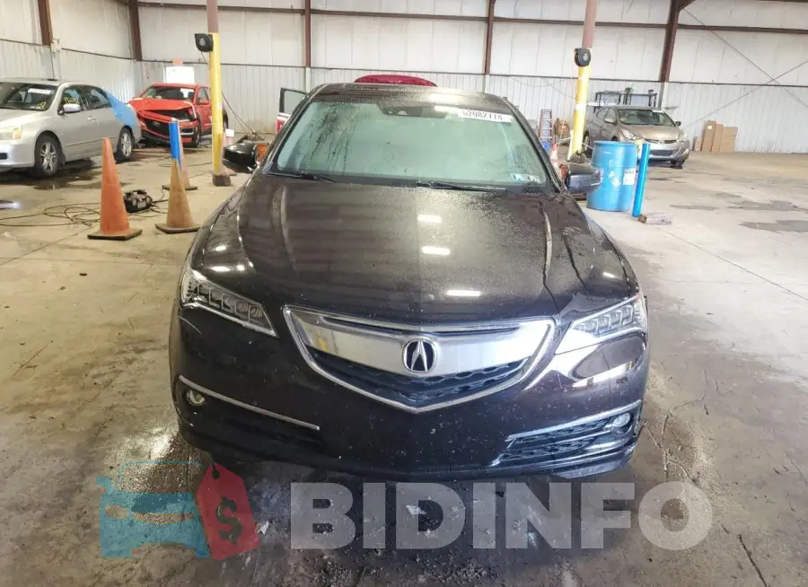 19UUB1F56FA006409 Photo# 5