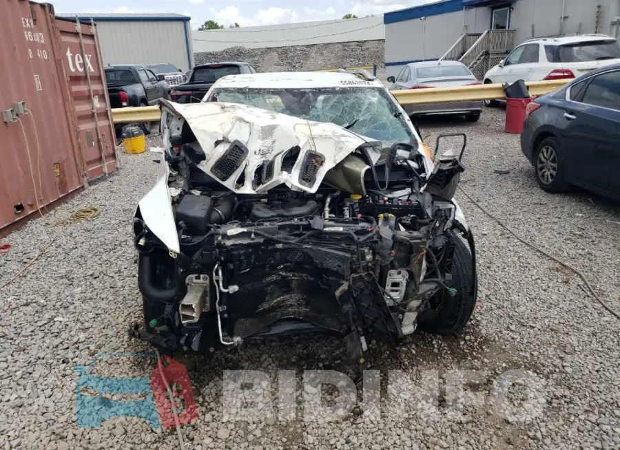 1C4PJLDS1FW690498 Photo# 5