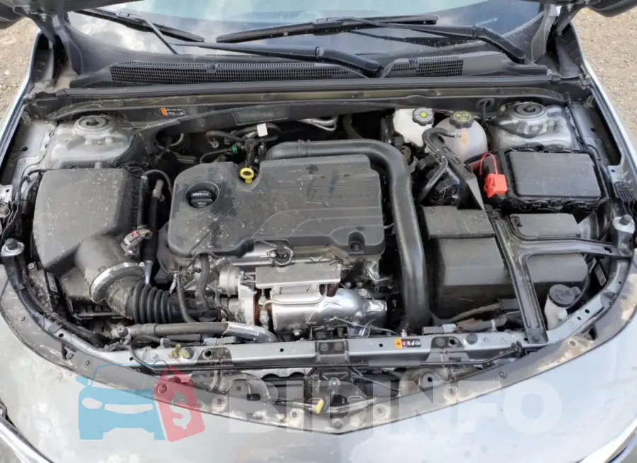 1G1ZB5ST1RF137165 Photo# 11