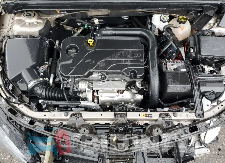 1G1ZD5ST2PF210521 Photo# 11
