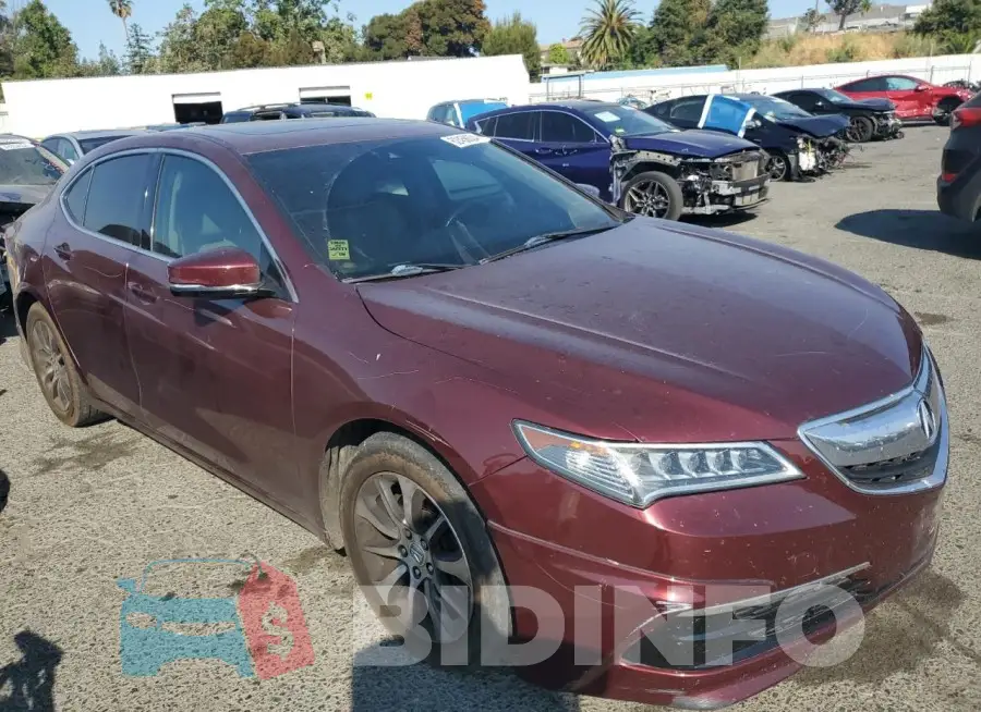 19UUB1F59FA009904 Photo# 4