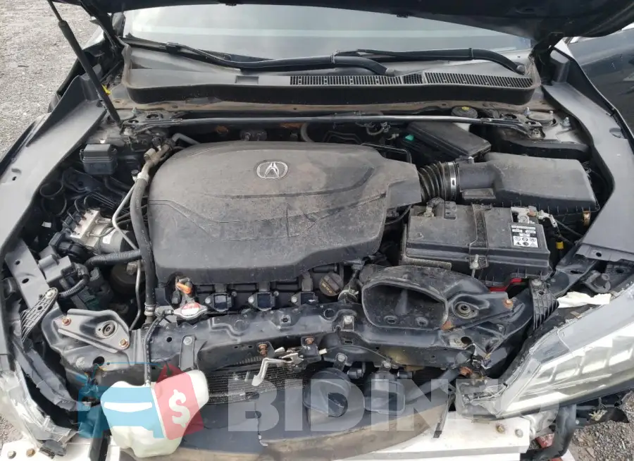 19UUB3F5XFA008384 Photo# 11