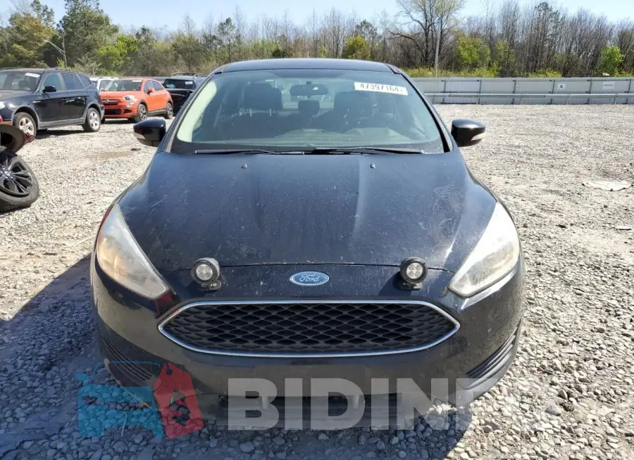 1FADP3F21HL251827 Photo# 5