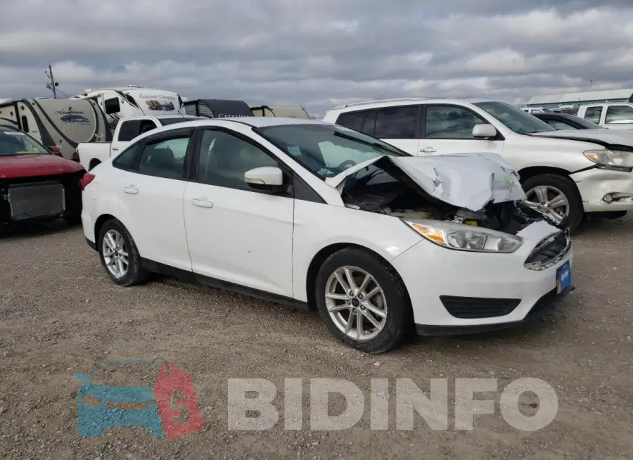 1FADP3F28GL319779 Photo# 4