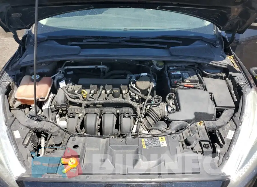 1FADP3K22FL250253 Photo# 11