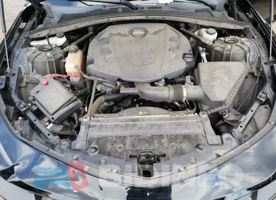 1G1FB1RS7M0111786 Photo# 11