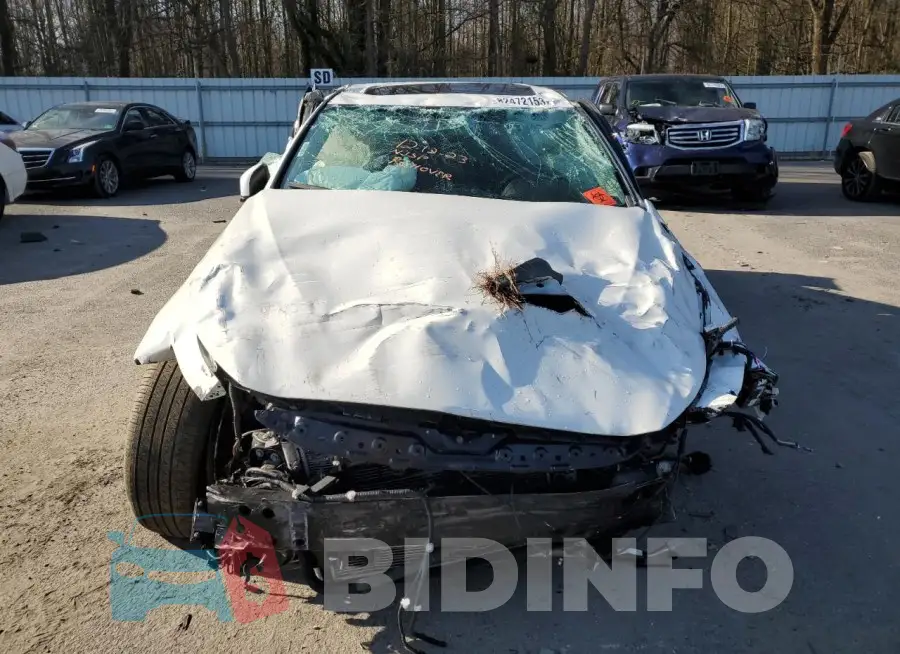 JN1EV7ARXLM251847 Photo# 5