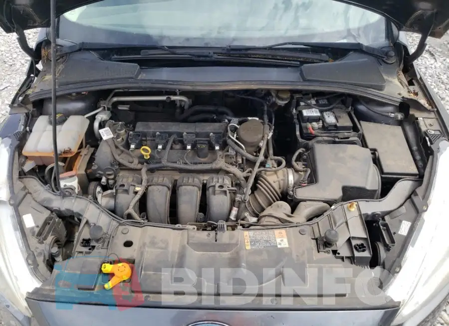 1FADP3E28GL219358 Photo# 11