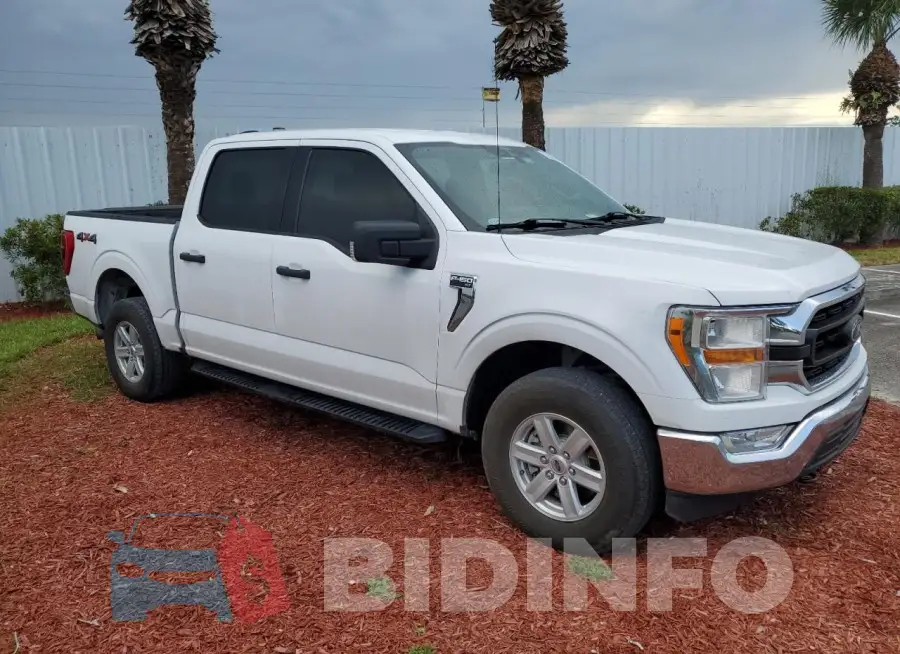 1FTFW1E56MKD01904 Photo# 4