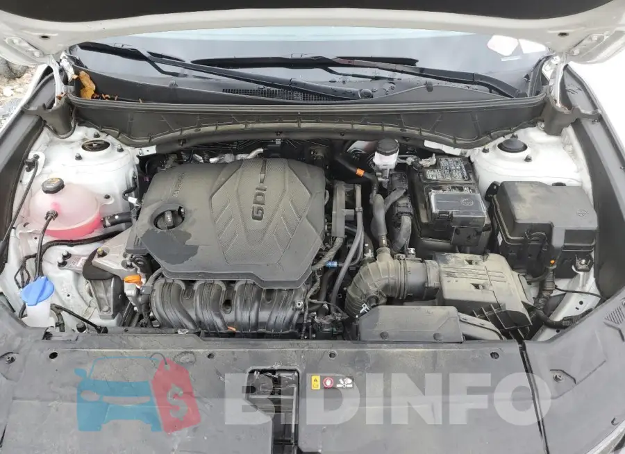 5NMJFCAE5PH185137 Photo# 11