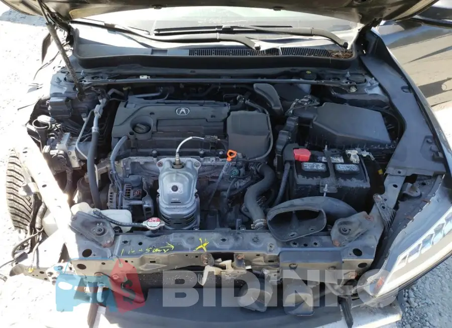 19UUB1F57GA007053 Photo# 11