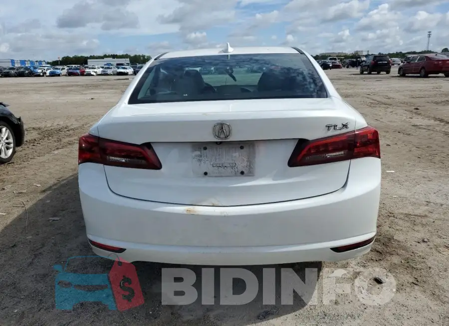 19UUB2F54FA005801 Photo# 6