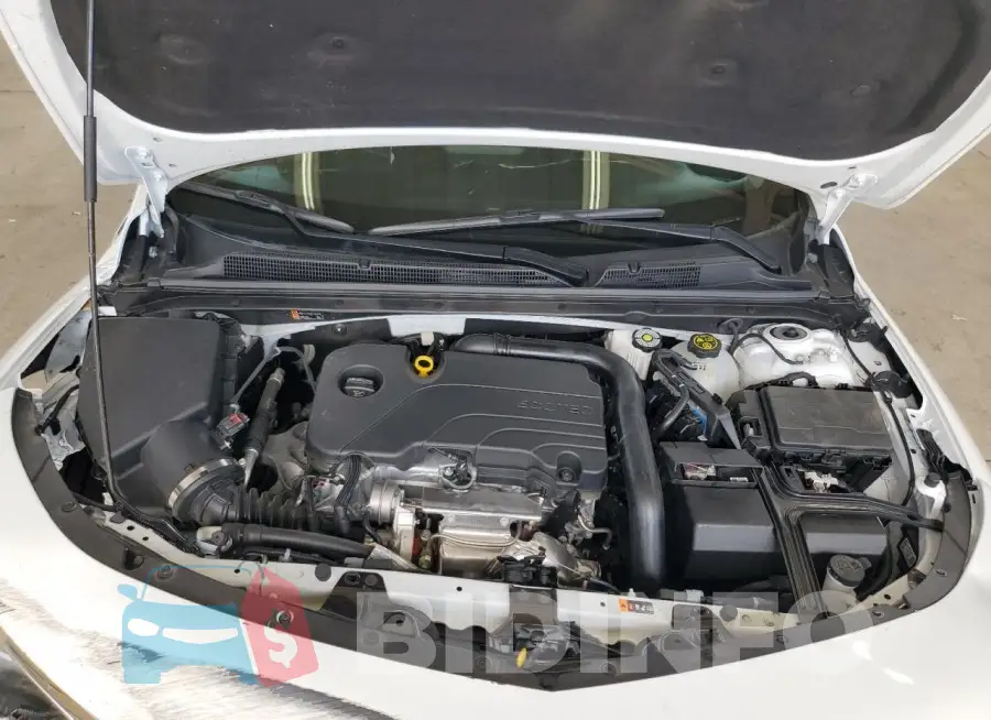 1G1ZD5ST1RF172864 Photo# 11