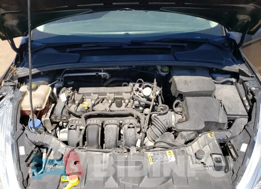 1FADP3F24GL394222 Photo# 11