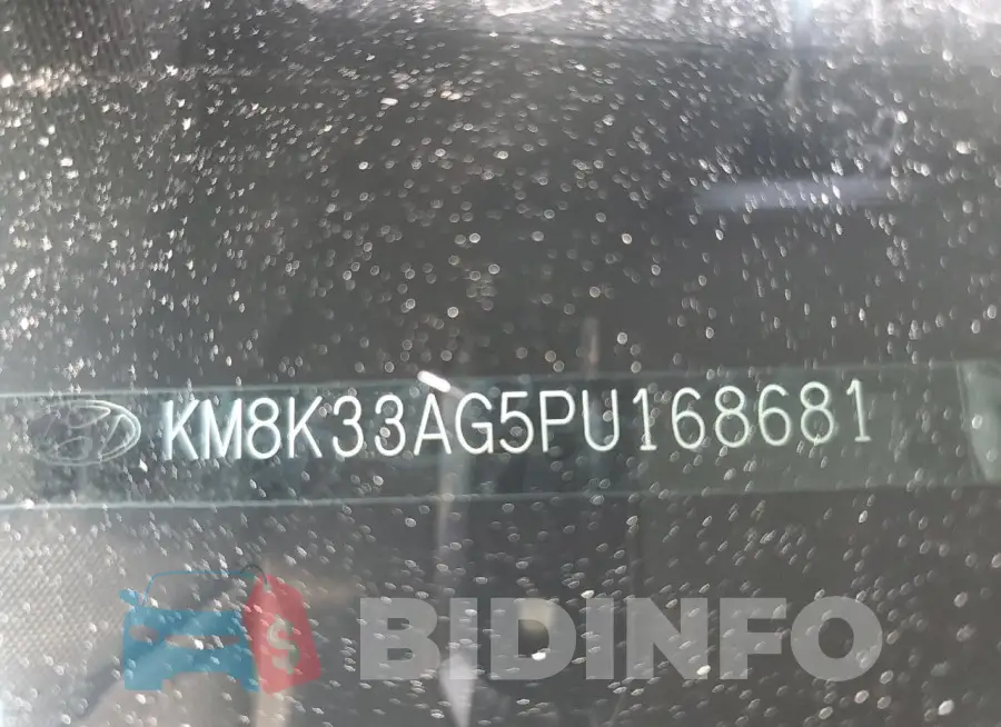 KM8K33AG5PU168681 Photo# 13