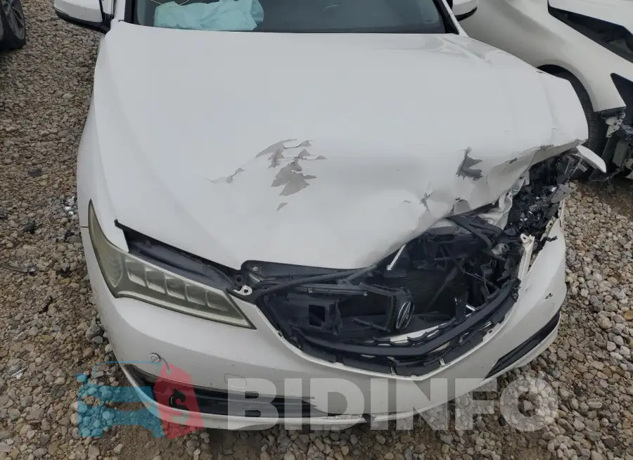 19UUB2F74FA018677 Photo# 11
