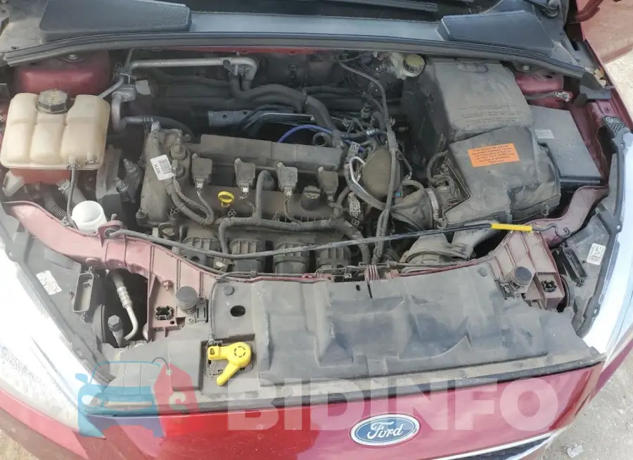 1FADP3F22GL202411 Photo# 11