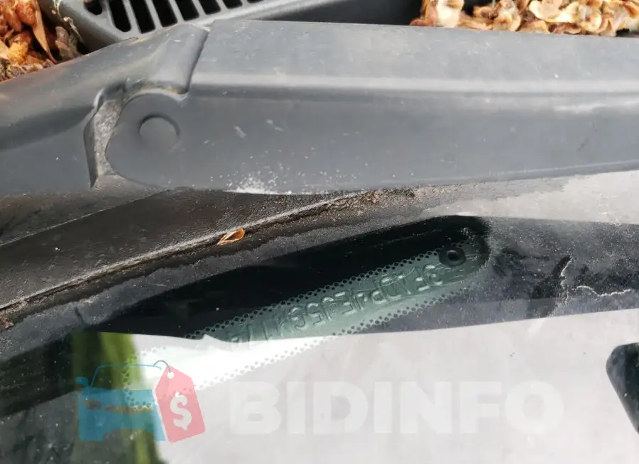 3FADP4EJ5GM174701 Photo# 13