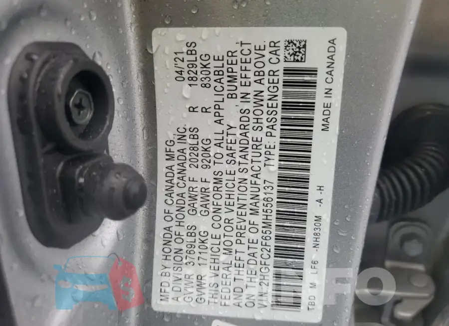 2HGFC2F65MH556137 Photo# 12