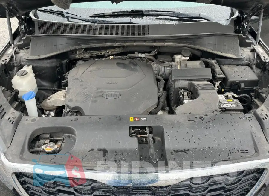 5XYPG4A53KG509184 Photo# 7