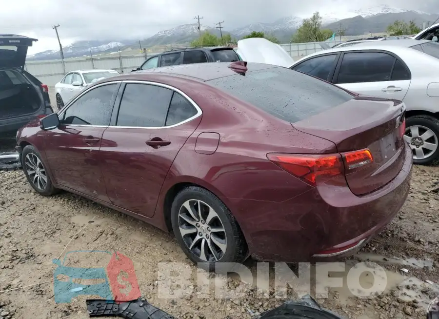 19UUB1F35FA021031 Photo# 2