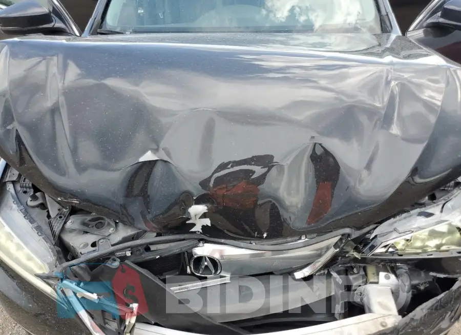 19UUB2F52FA017736 Photo# 11