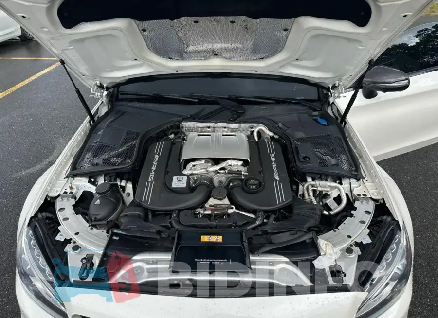 WDDWJ8GB0JF609316 Photo# 8