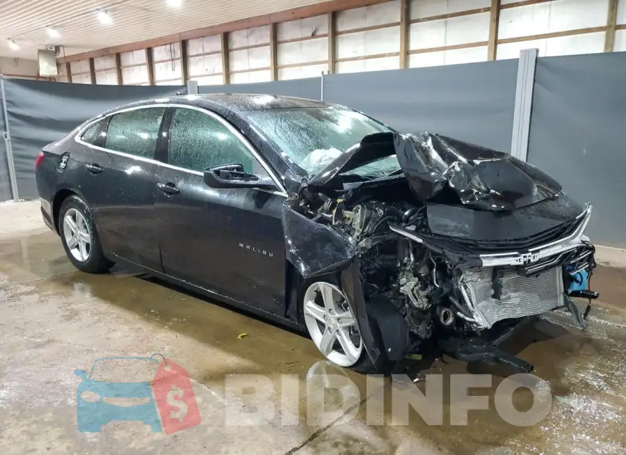 1G1ZD5ST2RF204513 Photo# 4